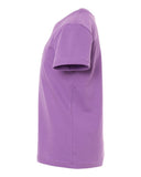 royal-purple_https://cdn.ssactivewear.com/Images/Color/100203_d_fl.jpg