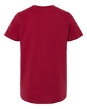 cardinal_https://cdn.ssactivewear.com/Images/Color/101630_b_fl.jpg