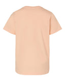 peachy_https://cdn.ssactivewear.com/Images/Color/103680_b_fl.jpg