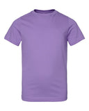 lavender_https://cdn.ssactivewear.com/Images/Color/103966_f_fl.jpg