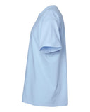 hydrangea_https://cdn.ssactivewear.com/Images/Color/104176_d_fl.jpg