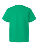 irish-green_https://cdn.ssactivewear.com/Images/Color/104346_b_fl.jpg