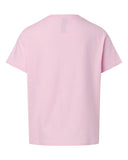 light-pink_https://cdn.ssactivewear.com/Images/Color/104348_b_fl.jpg