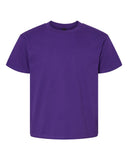 purple_https://cdn.ssactivewear.com/Images/Color/104353_f_fl.jpg