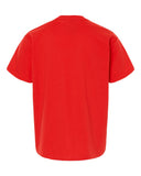 red_https://cdn.ssactivewear.com/Images/Color/104354_b_fl.jpg