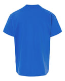 royal_https://cdn.ssactivewear.com/Images/Color/104355_b_fl.jpg