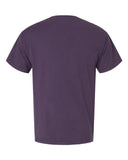 grape-soda_https://cdn.ssactivewear.com/Images/Color/105246_b_fl.jpg