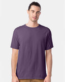 grape-soda_https://cdn.ssactivewear.com/Images/ModelColor/105246_omf_fl.jpg