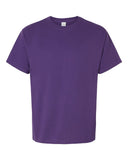 athletic-purple_https://cdn.ssactivewear.com/Images/Color/105361_f_fl.jpg