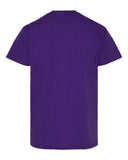 athletic-purple_https://cdn.ssactivewear.com/Images/Color/105390_b_fl.jpg