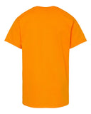 tennessee-orange_https://cdn.ssactivewear.com/Images/Color/105394_b_fl.jpg