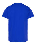 athletic-royal_https://cdn.ssactivewear.com/Images/Color/105395_b_fl.jpg