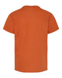 texas-orange_https://cdn.ssactivewear.com/Images/Color/105401_b_fl.jpg