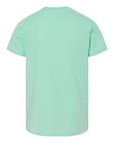 mint_https://cdn.ssactivewear.com/Images/Color/106647_b_fl.jpg