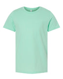 mint_https://cdn.ssactivewear.com/Images/Color/106647_f_fl.jpg