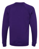 team-purple_https://cdn.ssactivewear.com/Images/Color/106799_b_fl.jpg