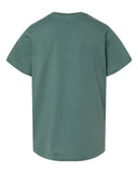 basil_https://cdn.ssactivewear.com/Images/Color/107381_b_fl.jpg