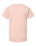 blush_https://cdn.ssactivewear.com/Images/Color/107382_b_fl.jpg