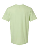 pistachio_https://cdn.ssactivewear.com/Images/Color/107630_b_fl.jpg