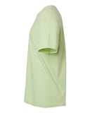 pistachio_https://cdn.ssactivewear.com/Images/Color/107630_d_fl.jpg