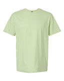 pistachio_https://cdn.ssactivewear.com/Images/Color/107630_f_fl.jpg