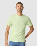 pistachio_https://cdn.ssactivewear.com/Images/ModelColor/107630_omf_fl.jpg