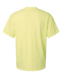 neon-lemon_https://cdn.ssactivewear.com/Images/Color/107769_b_fl.jpg