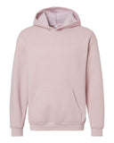 blush_https://cdn.ssactivewear.com/Images/Color/107847_f_fl.jpg