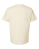 natural_https://cdn.ssactivewear.com/Images/Color/110649_b_fl.jpg