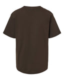 chocolate_https://cdn.ssactivewear.com/Images/Color/113076_b_fl.jpg