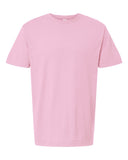blossom_https://cdn.ssactivewear.com/Images/Color/113143_f_fl.jpg