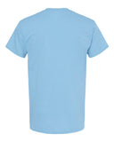 sky_https://cdn.ssactivewear.com/Images/Color/113188_b_fl.jpg