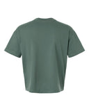 basil_https://cdn.ssactivewear.com/Images/Color/113870_b_fl.jpg