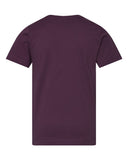 plum_https://cdn.ssactivewear.com/Images/Color/113973_b_fl.jpg