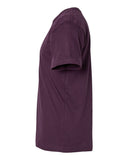 plum_https://cdn.ssactivewear.com/Images/Color/113979_d_fl.jpg