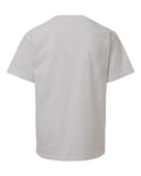 ash-grey_https://cdn.ssactivewear.com/Images/Color/114103_b_fl.jpg
