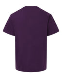 eggplant_https://cdn.ssactivewear.com/Images/Color/114108_b_fl.jpg