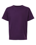 eggplant_https://cdn.ssactivewear.com/Images/Color/114108_f_fl.jpg