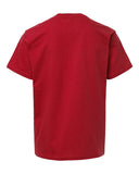 red_https://cdn.ssactivewear.com/Images/Color/114113_b_fl.jpg