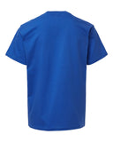 royal-blue_https://cdn.ssactivewear.com/Images/Color/114114_b_fl.jpg