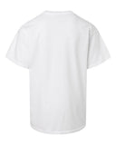 white_https://cdn.ssactivewear.com/Images/Color/114116_b_fl.jpg