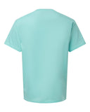 celadon_https://cdn.ssactivewear.com/Images/Color/114117_b_fl.jpg