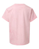 hibiscus_https://cdn.ssactivewear.com/Images/Color/114225_b_fl.jpg