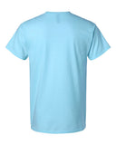 sky_https://cdn.ssactivewear.com/Images/Color/114915_b_fl.jpg