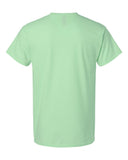 mint-green_https://cdn.ssactivewear.com/Images/Color/114919_b_fl.jpg