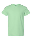 mint-green_https://cdn.ssactivewear.com/Images/Color/114919_f_fl.jpg