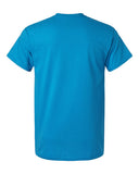 sapphire_https://cdn.ssactivewear.com/Images/Color/114924_b_fl.jpg