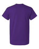 purple_https://cdn.ssactivewear.com/Images/Color/114925_b_fl.jpg