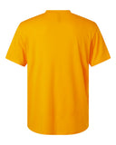 gold_https://cdn.ssactivewear.com/Images/Color/115028_b_fl.jpg