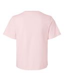 soft-pink_https://cdn.ssactivewear.com/Images/Color/116212_b_fl.jpg